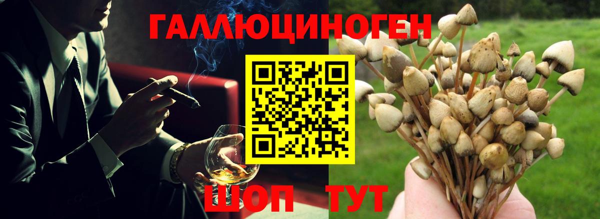 Галлюциногенные грибы мухоморы  Вход с VPN  Жуковский 